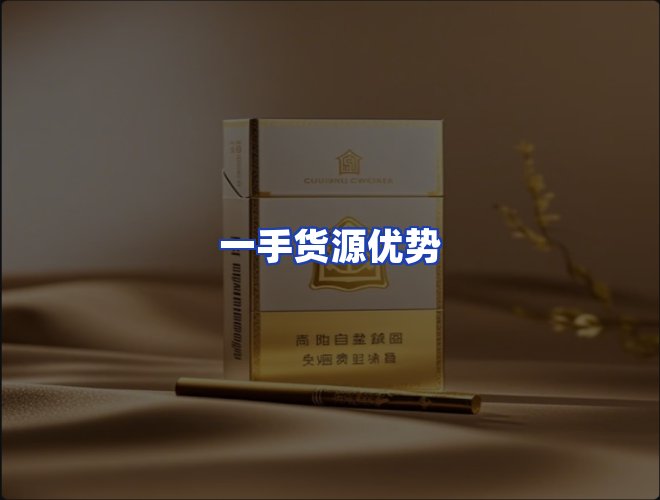 专业团队